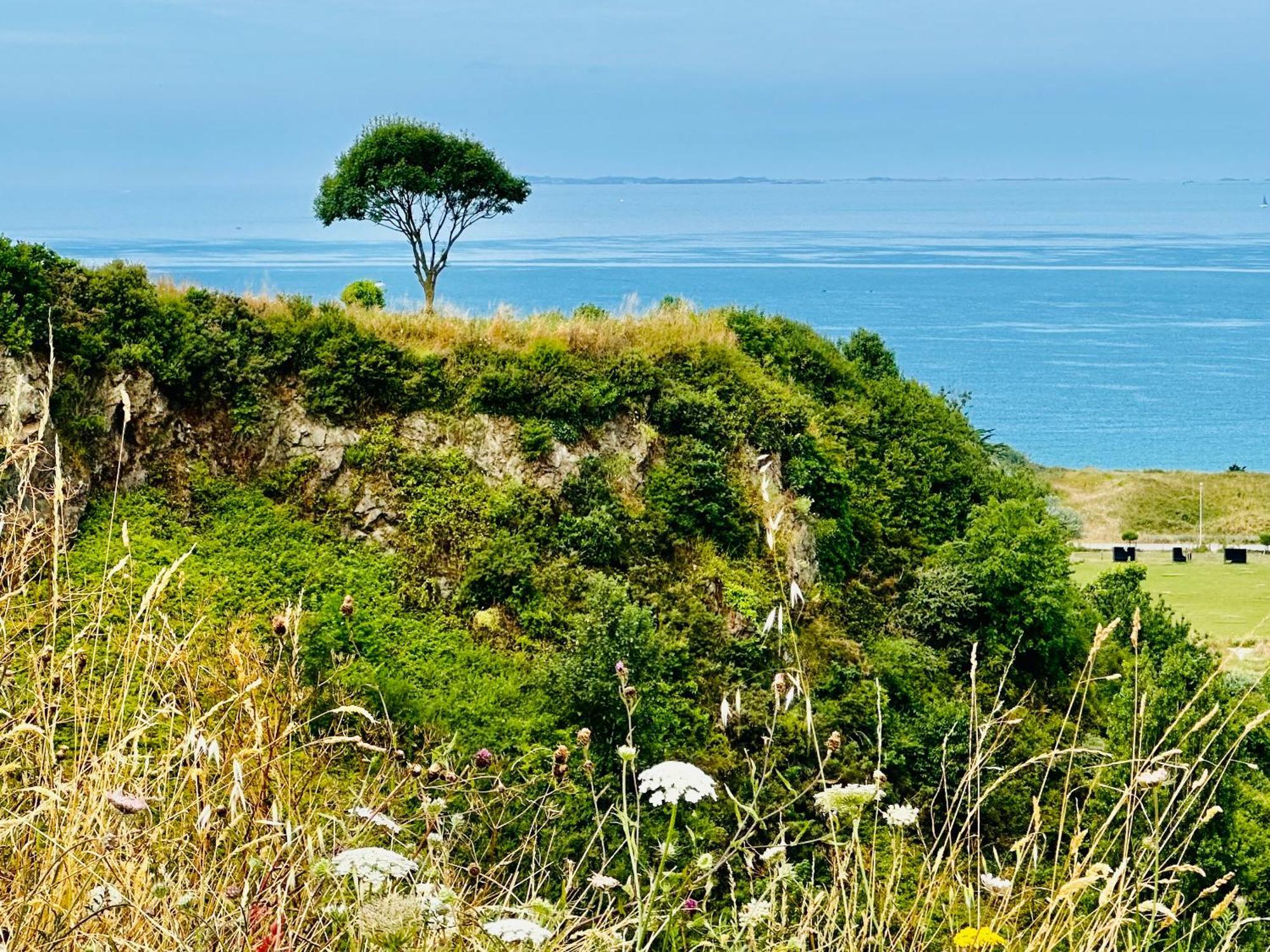 Le Refuge De Lalbatros Vert Donville-les-Bains Dış mekan fotoğraf
